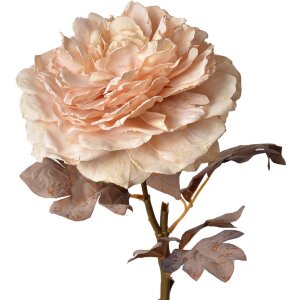 Clayre & Eef 6PL0334 Fleur artificielle Rose Rose 10x10x60 cm