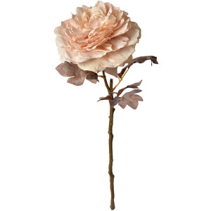 Clayre & Eef 6PL0334 Fleur artificielle Rose Rose 10x10x60 cm