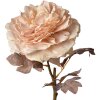 Clayre & Eef 6PL0334 Fleur artificielle Rose Rose 10x10x60 cm