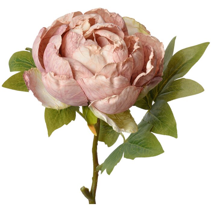 Clayre & Eef 6PL0335 Fleur artificielle Rose Rose 10x10x48 cm