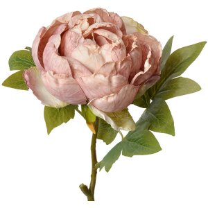 Clayre & Eef 6PL0335 Fleur artificielle Rose Rose...