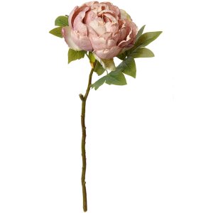 Clayre & Eef 6PL0335 Fleur artificielle Rose Rose 10x10x48 cm