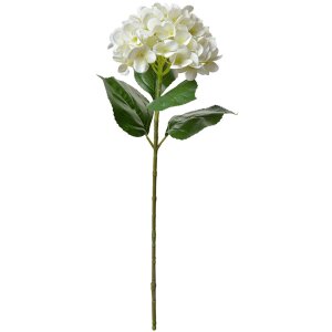 Clayre & Eef 5PL0137BE Fleur artificielle Beige Vert 16x15x68 cm