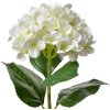 Clayre & Eef 5PL0137BE Fleur artificielle Beige Vert 16x15x68 cm