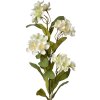 Clayre & Eef 6PL0344W Déco Branche fleurs blanc vert 17x14x70 cm