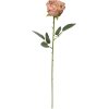 Clayre & Eef 6PL0369CH Fleur artificielle Rose 9x9x61 cm