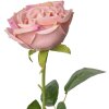Clayre & Eef 6PL0369P Fleur artificielle rose 9x9x61 cm