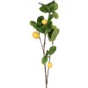 Clayre & Eef 5PL0141 Déco Branche de citron jaune vert 10x7x73 cm