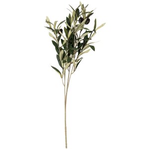 Clayre & Eef 6PL0371 Branche décorative Olives Vert 10x10x55 cm