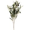 Clayre & Eef 6PL0371 Branche décorative Olives Vert 10x10x55 cm