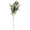 Clayre & Eef 6PL0371 Branche décorative Olives Vert 10x10x55 cm