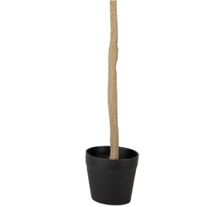 Clayre & Eef 5PL0149 Arbre décoratif vert 20x20x90 cm plastique