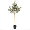 Clayre & Eef 5PL0149 Arbre décoratif vert 20x20x90 cm plastique