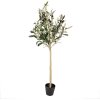 Clayre & Eef 5PL0149 Arbre décoratif vert 20x20x90 cm plastique