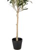 Clayre & Eef 5PL0150 Décoration Arbre vert 15x15x70 cm