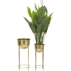 Mauro Ferretti Présentoir à fleurs, set de 2 Ø 27x62 et 21,5x52 cm or