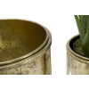 Mauro Ferretti Présentoir à fleurs, set de 2 Ø 27x62 et 21,5x52 cm or