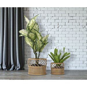 Mauro Ferretti Porte-fleurs Panama lot de 2 Ø 30x25-22x18 cm brun