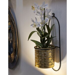 Mauro Ferretti Vase mural Hong 14x14x37 cm noir or