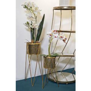 Mauro Ferretti Porte-fleurs Glod lot de 2 21x20x46 et 18x18x32 cm or
