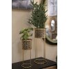 Mauro Ferretti Présentoir à fleurs Nat Lot de 2 Ø 17x46 et Ø 14x34 cm or