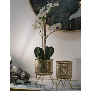 Mauro Ferretti Présentoir à fleurs Ceci, set de 2 Ø 16x20 et 13x20 cm or