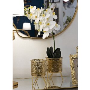 Mauro Ferretti Présentoir à fleurs Naty Lot de 2 Ø 16x20 et 13x20 cm or