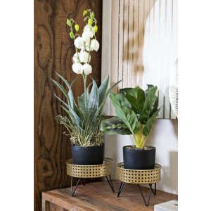 Mauro Ferretti Présentoir à fleurs Bossy lot de 2 Ø 20,5x13 et 18x13 cm noir or