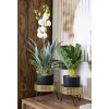 Mauro Ferretti Présentoir à fleurs Bossy lot de 2 Ø 20,5x13 et 18x13 cm noir or