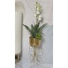Mauro Ferretti support de plantes Farfy Ø 22x45 cm or