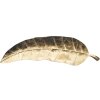 Mauro Ferretti Coupe décorative feuille longue 38x3x11 cm or