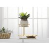 Mauro Ferretti coupe décorative 2 niveaux 36x22,5x27 cm or