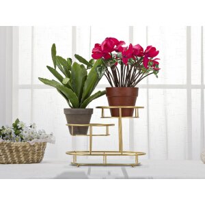 Mauro Ferretti coupe décorative 3 niveaux 36x22,5x27 cm or
