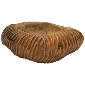 Mauro Ferretti Coupe décorative Garit Ø32x11 cm brun