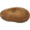 Mauro Ferretti Coupe décorative Garit Ø32x11 cm brun