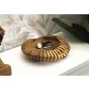 Mauro Ferretti Coupe décorative Geris Ø 29x7 cm brun