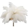 Mauro Ferretti lampe de table Palmier 2 flammes E14 Ø 40x55 cm blanc or