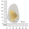 Lampe murale Mauro Ferretti Or Océan Doré E14 21x8x31 cm doré blanc
