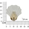 Lampe murale Mauro Ferretti Coquille E14 20x14x22 cm or naturel