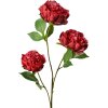 Clayre & Eef 5PL0166R Branche décorative avec fleurs rouge-vert 80 cm