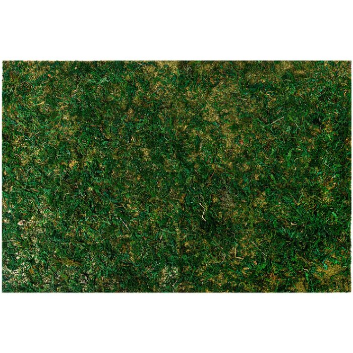 Clayre & Eef 66121 Tapis de mousse 60x40x1 cm Vert saturé Plastique Décoration