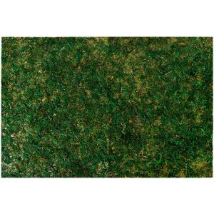 Clayre & Eef 66121 Tapis de mousse 60x40x1 cm Vert...