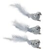 Clayre & Eef 66137 Déco oiseau set 3 argent avec plumes 12x3x4 cm Clip