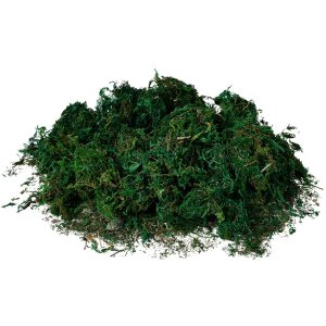 Clayre & Eef 66109 Tapis de mousse Vert 40x30x1 cm...