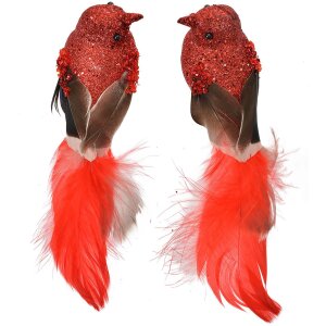 Clayre & Eef 66138 Décoration Oiseau Lot de 2 rouge brun 16x5x5 cm Plastique