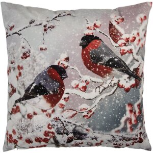 Clayre & Eef KT021.413 Housse de coussin 45x45cm...