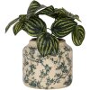 Clayre & Eef Pot de fleurs Beige-Vert Ø16x15cm Céramique style campagnard Vintage