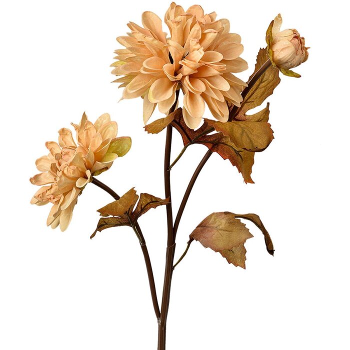 Clayre & Eef 6PL0387BE Fleur artificielle Beige Marron 10x10x66 cm