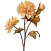 Clayre & Eef 6PL0387BE Fleur artificielle Beige Marron 10x10x66 cm