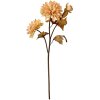 Clayre & Eef 6PL0387BE Fleur artificielle Beige Marron 10x10x66 cm